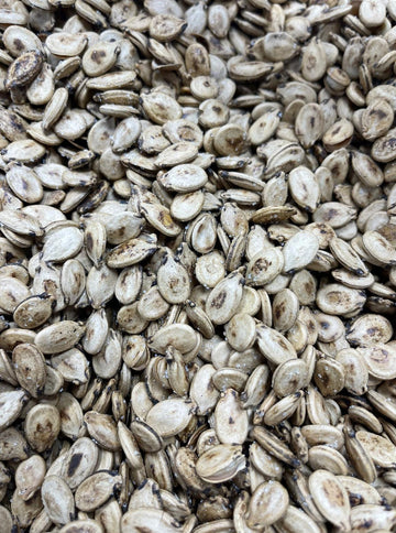 Saj Watermelon Seeds (Abu Nukta)