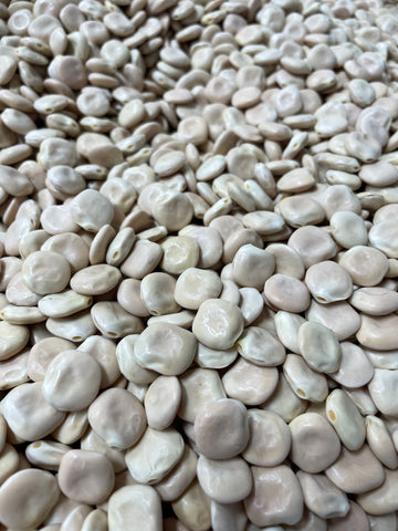 Turmous (Lupini Beans)