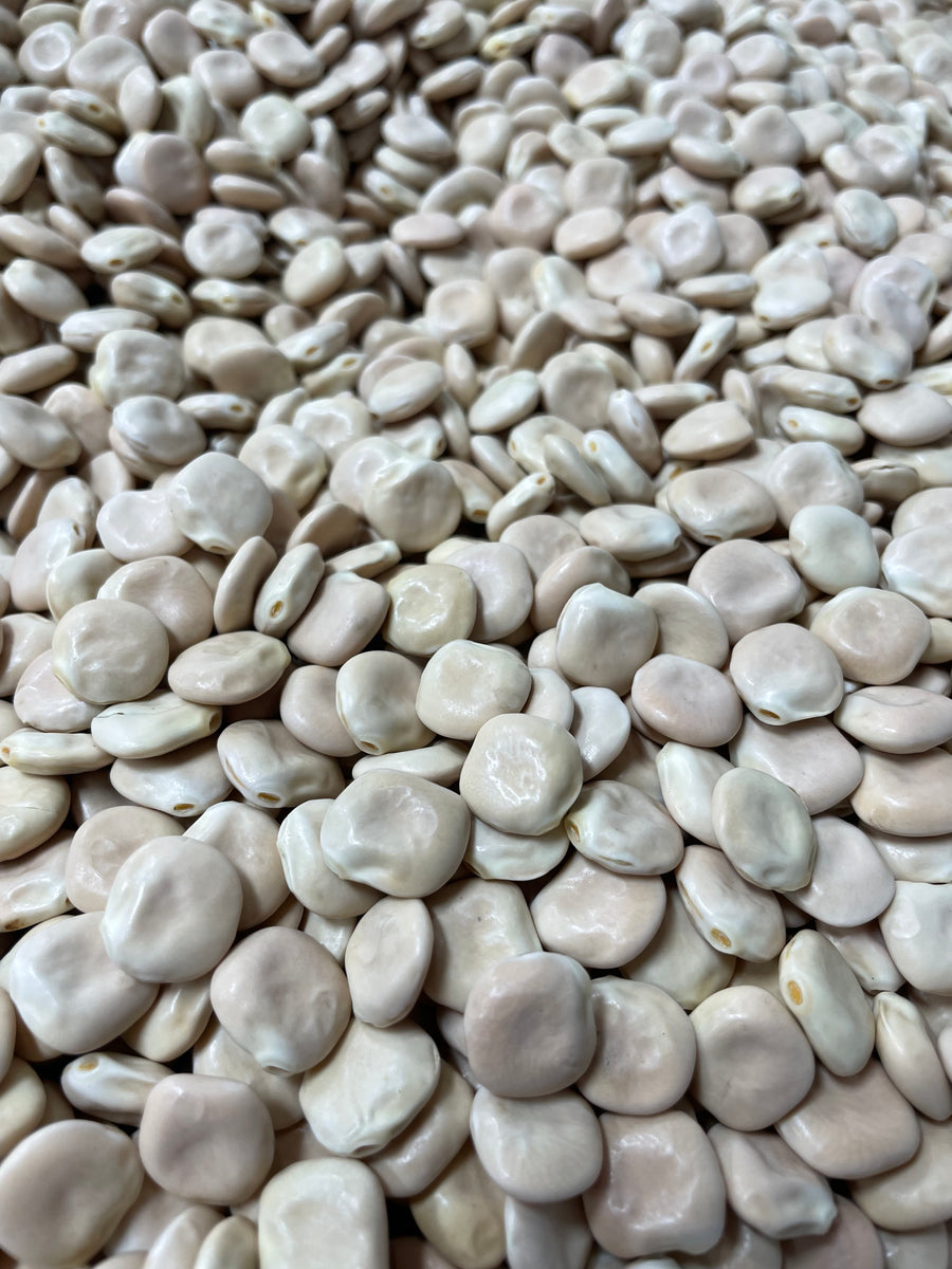 Turmous (Lupini Beans)